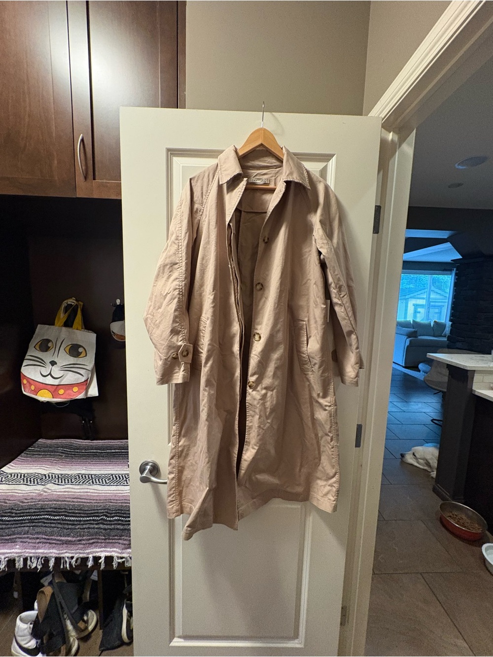 Dex Beige Trench Coat - Light Neutral Outerwear - Picture 3 of 4
